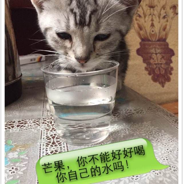 日本在留卡申请犯罪记录