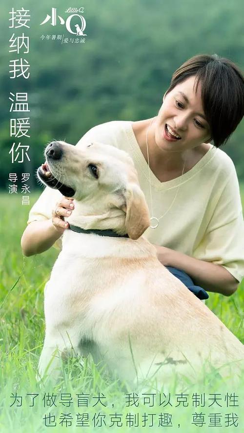 神戸芸術工科大学社会学文凭证书